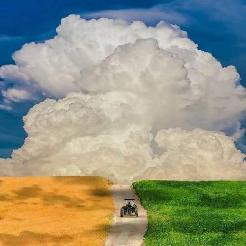 عشق ممنوعه تو
